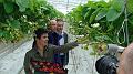 Elianny eerste veiling Fruitmasters Koningsplant john ard leon Vissers aardbeiplanten BV America (19)